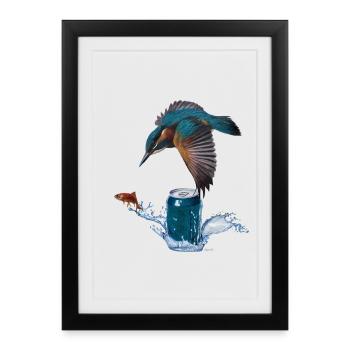 Martin-pêcheur - Affiche encadrée (27 × 37 cm) - noir - Devant