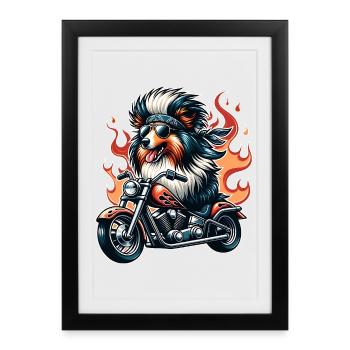 Chien motard à moto avec flammes Sheltie - Affiche encadrée (27 × 37 cm) - noir - Devant