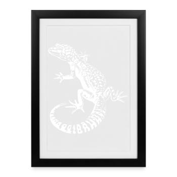 Gecko Léopard Gecko Contraste - Affiche encadrée (27 × 37 cm) - noir - Devant