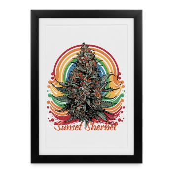 Sunset Sherbet - Framed poster (27 × 37 cm) - black - Front