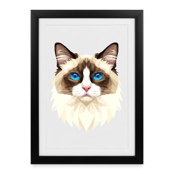 Ragdoll Chat Ragdoll Chat Mignons Chats Ragdoll - Affiche encadrée (27 × 37 cm) - noir - Devant