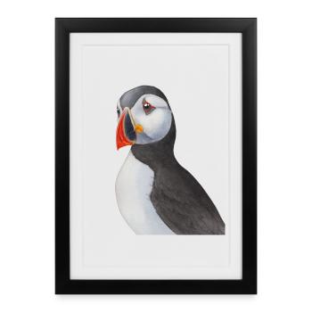 Macareux moine le jardin des espèces de macareux - Affiche encadrée (27 × 37 cm) - noir - Devant