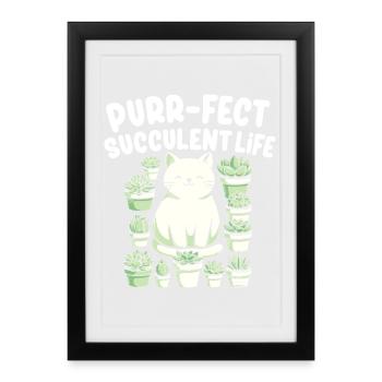 Plante Drôle Succulente Cactus Chat - Affiche encadrée (27 × 37 cm) - noir - Devant