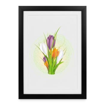 Des crocus délicats et colorés dans le cercle de printemps - Affiche encadrée (27 × 37 cm) - noir - Devant