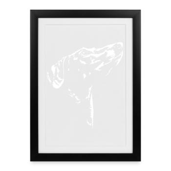 Silhouette Azawakh Lévriers Wilsigns - Affiche encadrée (27 × 37 cm) - noir - Devant