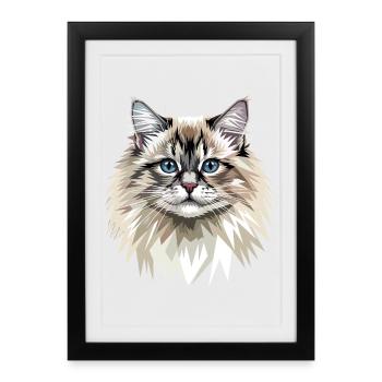 Ragdoll Chat Ragdoll Chat Mignons Chats Ragdoll - Affiche encadrée (27 × 37 cm) - noir - Devant