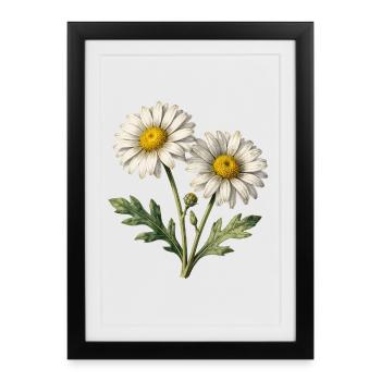 Bright Watercolor Daisies - Framed poster (27 × 37 cm) - black - Front