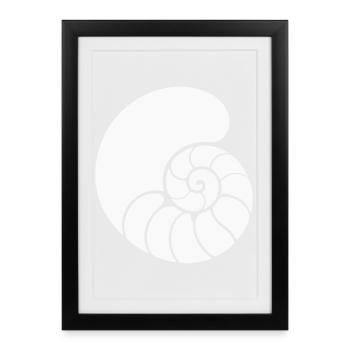 Spiral Pattern Shell - Framed poster (27 × 37 cm) - black - Front