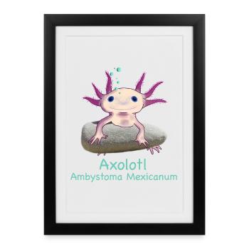 Iconic axolotl chilling, dessiné à la main - Affiche encadrée (27 × 37 cm) - noir - Devant