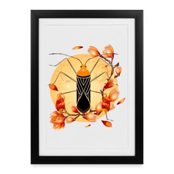 Anisoscelis alipes Punaise des feuilles et magnolia - Affiche encadrée (27 × 37 cm) - noir - Devant