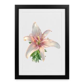 PINK LILY - Framed poster (27 × 37 cm) - black - Front