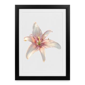 Lily Roses Blossoms - Framed poster (27 × 37 cm) - black - Front