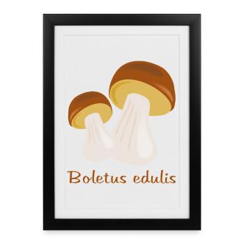 Champignons d’automne - Affiche encadrée (27 × 37 cm) - noir - Devant