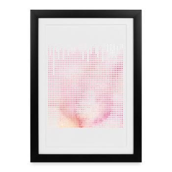 Lettre D, nom, la lettre D - Affiche encadrée (27 × 37 cm) - noir - Devant