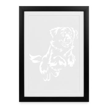 Golden Retriever "Black Edition" - Framed poster (27 × 37 cm) - black - Front