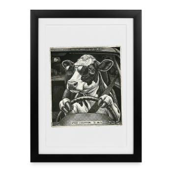 Dairy cow flashed driving a car - Framed poster (27 × 37 cm) - black - Front