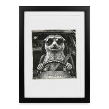 Meerkat Flashed - Framed poster (27 × 37 cm) - black - Front