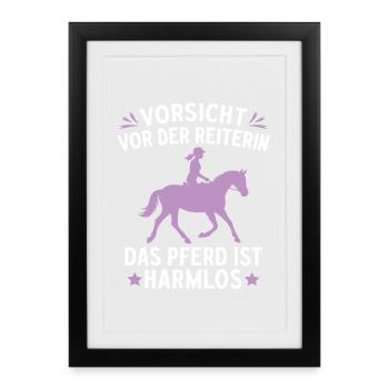 Beware of the rider, the horse is harmless - Framed poster (27 × 37 cm) - black - Front