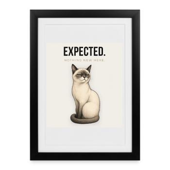 EXPECTED Sarcastic Cat Design - Gerahmtes Poster (27 × 37 cm) - Schwarz - Vorne