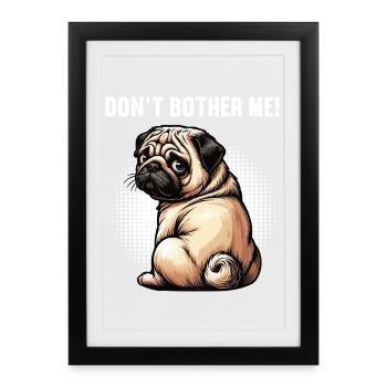 Don't Bother Me Pug Pugs Pugs Owner Pug Holder - Framed poster (27 × 37 cm) - black - Front