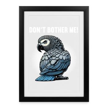Don't Bother Me Grey Parrot Grey Parrot Parrot - Framed poster (27 × 37 cm) - black - Front