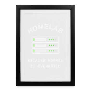 Homelab – Because Normal Is Overrated - Framed poster (27 × 37 cm) - black - Front
