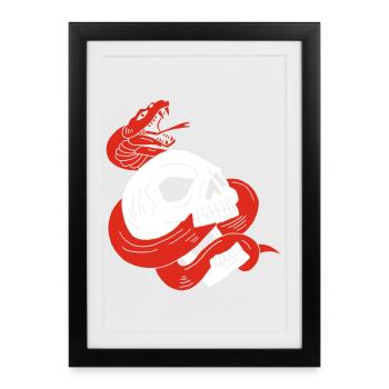 The skull and the red snake - Framed poster (27 × 37 cm) - black - Front