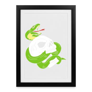 Le crâne et le serpent - Affiche encadrée (27 × 37 cm) - noir - Devant