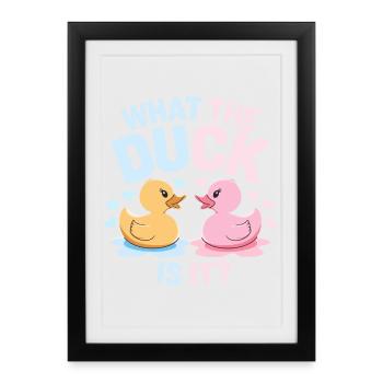 What the Duck Is It Ducks - Framed poster (27 × 37 cm) - black - Front