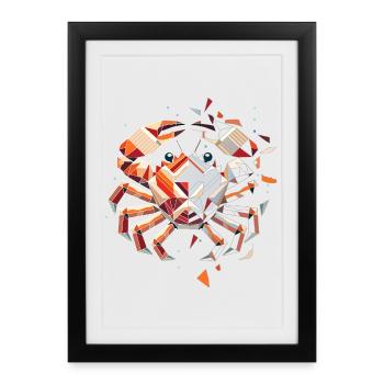 Motif du crabe – Beauté fragile de la mer - Affiche encadrée (27 × 37 cm) - noir - Devant