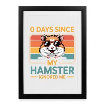 0 Days Since My Hamster Ignored Me Hamster Lover - Framed poster (27 × 37 cm) - black - Front