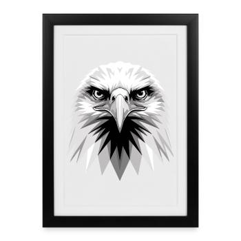 Aigle Pygargue à tête blanche Aigle royal Pygargue à queue blanche - Affiche encadrée (27 × 37 cm) - noir - Devant