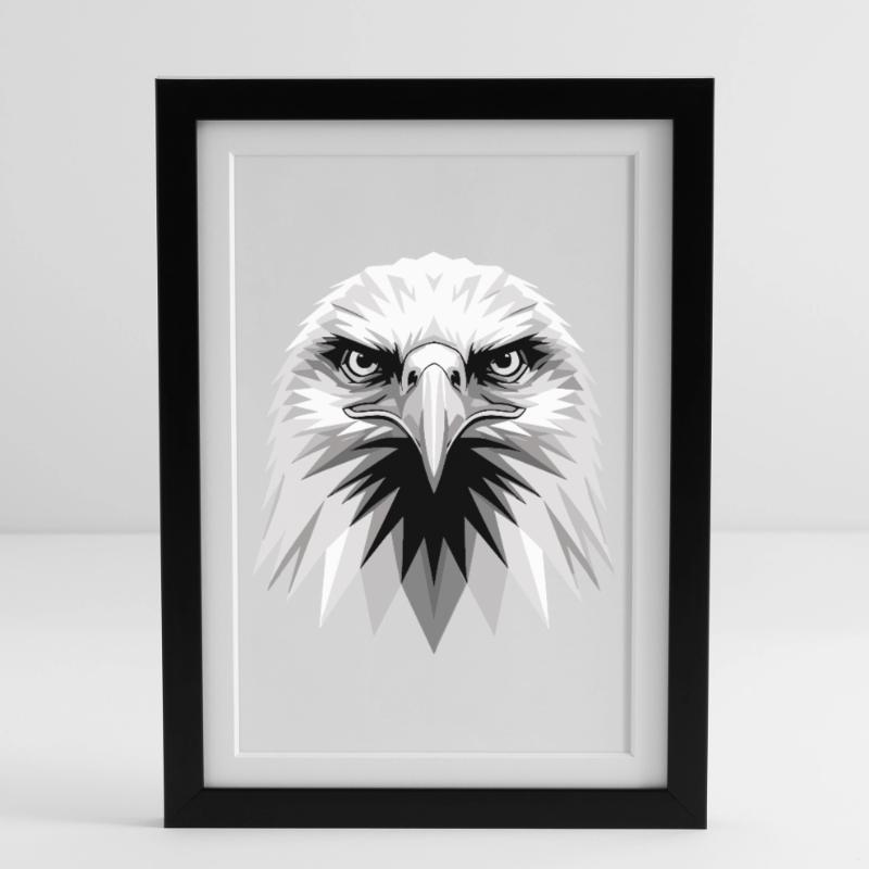 Eagle Bald Eagle Golden Eagle White-tailed Eagle Framed poster (27 × 37 cm)