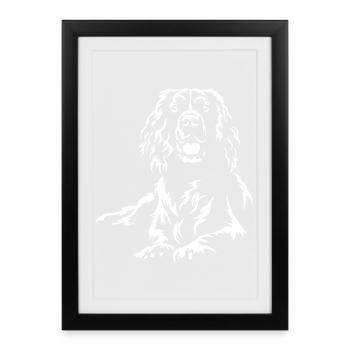 English Springer Spaniel "Black Edition" - Framed poster (27 × 37 cm) - black - Front