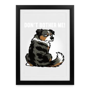 Ne m’embêtez pas, Berger australien Australien, Australiens - Affiche encadrée (27 × 37 cm) - noir - Devant