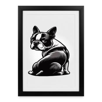 Boston Terrier Propriétaire de Boston Terrier Bostie - Affiche encadrée (27 × 37 cm) - noir - Devant