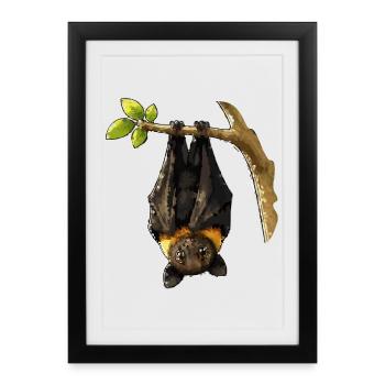 Nachtfledermaus am Ast - Gerahmtes Poster (27 × 37 cm) - Schwarz - Vorne