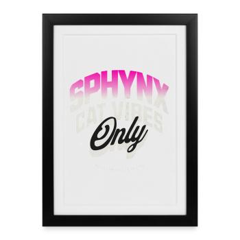 Sphynx Cat Vibes - Affiche encadrée (27 × 37 cm) - noir - Devant
