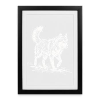 Husky Sketch Weiß – Siberian Husky Design - Gerahmtes Poster (27 × 37 cm) - Schwarz - Vorne