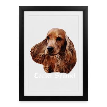 Cocker Spaniel,Spaniel,Dog Head,Pedigree Dog, - Framed poster (27 × 37 cm) - black - Front