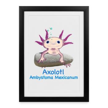Iconic Axolotl Ambystoma Mexicanum Hand Drawing - Framed poster (27 × 37 cm) - black - Front