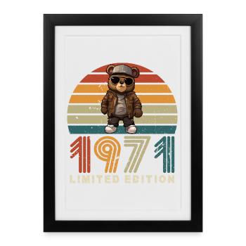 Limited Edition 1971 Year of Construction Birthday Vintage - Framed poster (27 × 37 cm) - black - Front