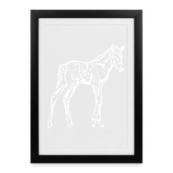 Horse White, Foal - Framed poster (27 × 37 cm) - black - Front