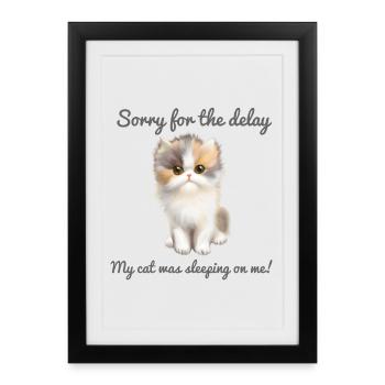 My cat was sleeping on me  - Framed poster (27 × 37 cm) - black - Front