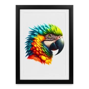 Perroquet - Affiche encadrée (27 × 37 cm) - noir - Devant