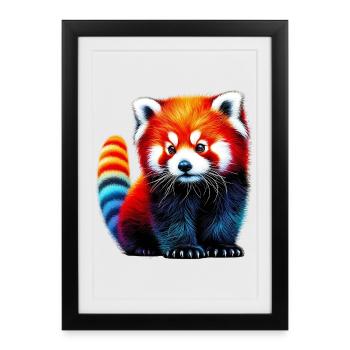 Petit panda - Affiche encadrée (27 × 37 cm) - noir - Devant
