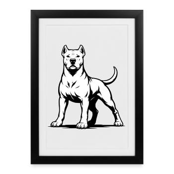 Dogo Argentino dans une pose fière - Affiche encadrée (27 × 37 cm) - noir - Devant