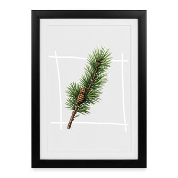 Cadre minimal de branche de pin - Affiche encadrée (27 × 37 cm) - noir - Devant