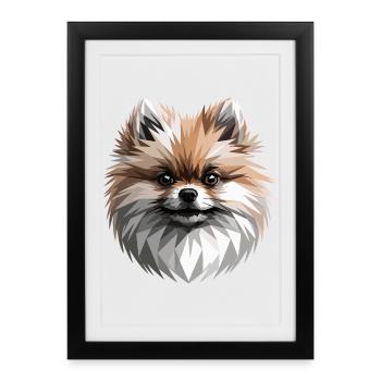 Pomeranian Pomeranian Pom Sweet German Spitz - Framed poster (27 × 37 cm) - black - Front
