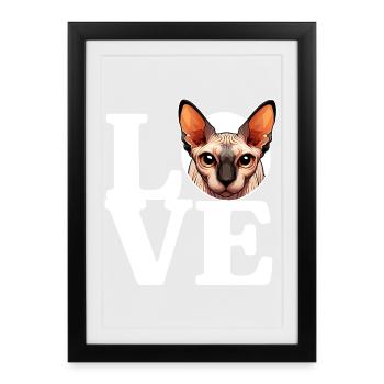 LIEBE Canadian Sphynx Cat Cat Lover Lustig - Gerahmtes Poster (27 × 37 cm) - Schwarz - Vorne
